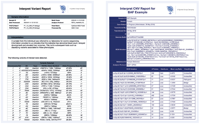 Examples of reports generated by Interpret’s template and plug-in framework
